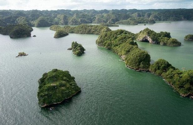 Exploration of mangroves and wildlife Los Haitises.