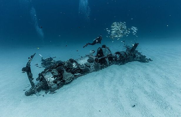 Certified Scuba Diving Experience in Honolulu