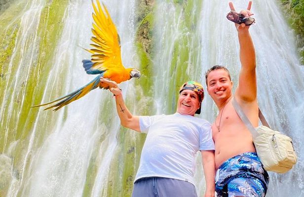 Discover Samana, Bacardi Island, the Limon waterfall and the whales