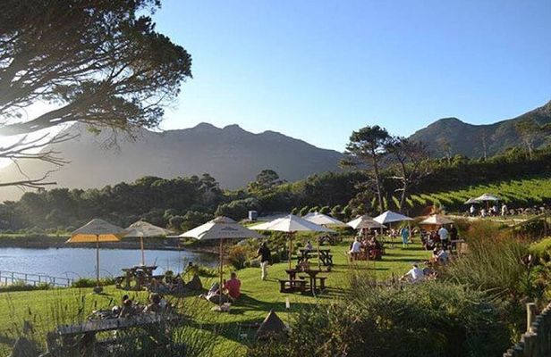 Explore the Cape Peninsula through a Queer Lens Private Tour