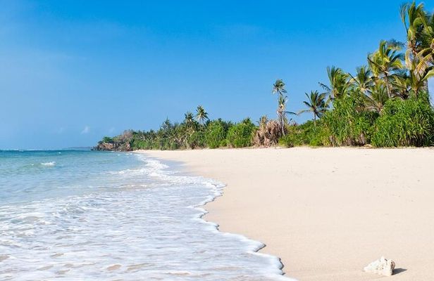 Diani Beach: Glass-bottom Boat Ride with Underwater Show