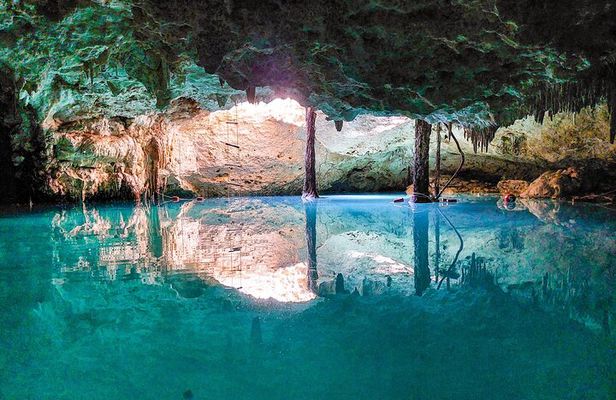 Full Day Tour to Cenotes and Akumal with Swim with Turtles