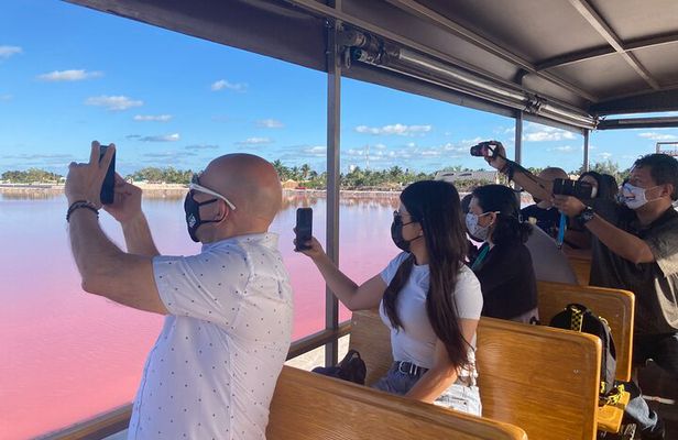 Full Day Tour to Las Coloradas Safari from Cancun