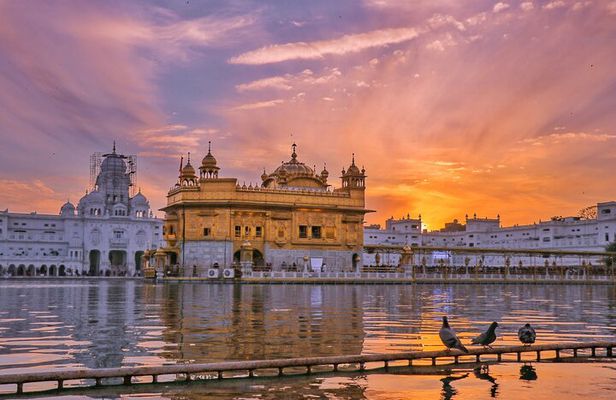 Amritsar's Golden Bliss and Border Spectacle Private Tour