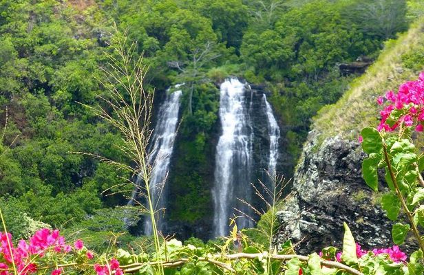 Kauai Eastside & Waterfalls-Shared Small Group Tour