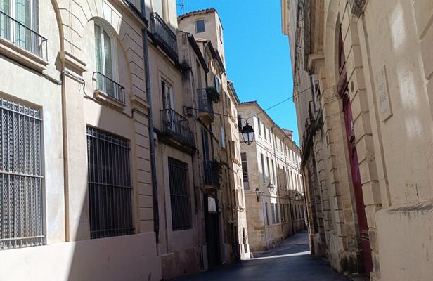 Montpellier guided walking tour 2h (small group)