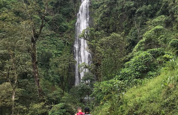 DayTour to Materuni Waterfalls with Coffee & Hotsprings Excursion