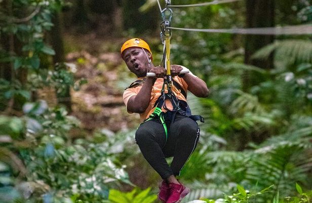 St. Lucia 3 in 1 Combo: Aerial Tram, Rainforest Trail & Zipline