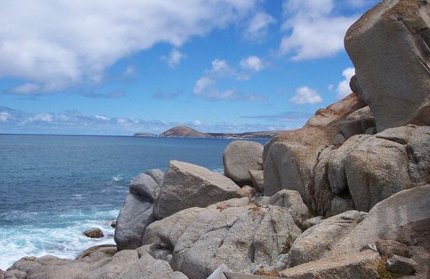 Victor Harbor and Fleurieu Peninsula Tour