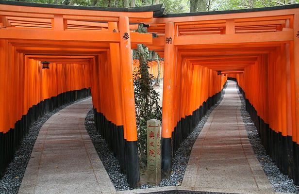 PERFECT KYOTO 1-Day Bus Tour