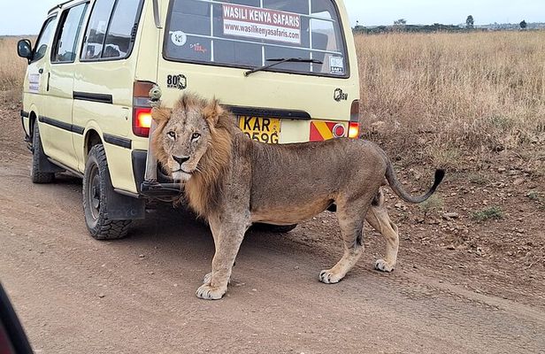 Nairobi national park drive (Small Group tour)