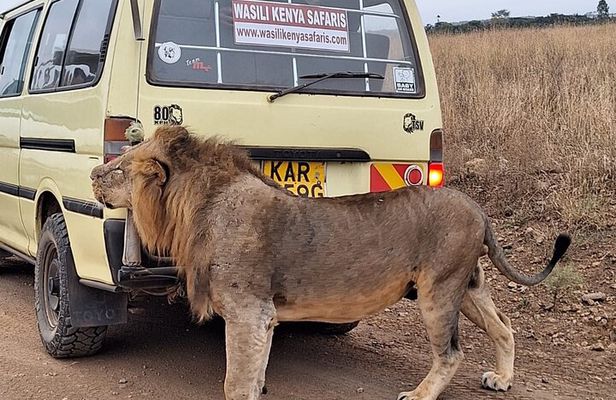  5 hours Nairobi national park drive