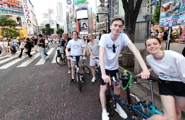 Private Half-Day Grand Bike Tour in Tokyo