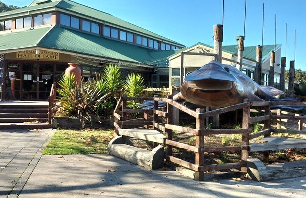 Devonport Sightseeing Tour