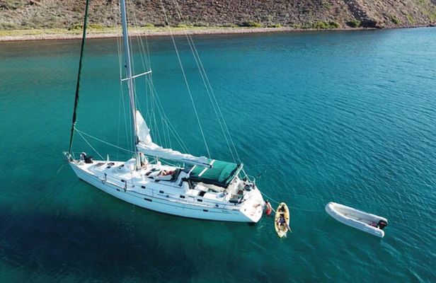 Whale Watching Sailboat Tour in San Jose del Cabo