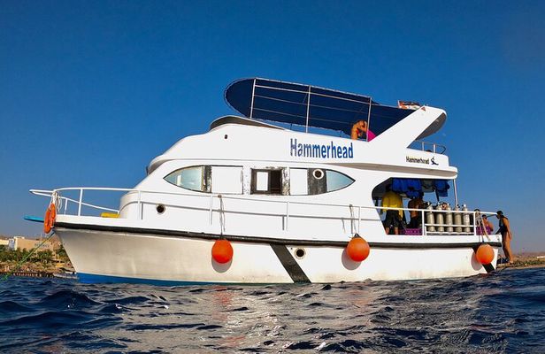 Boat Dive and Snorkeling Experience in Aqaba