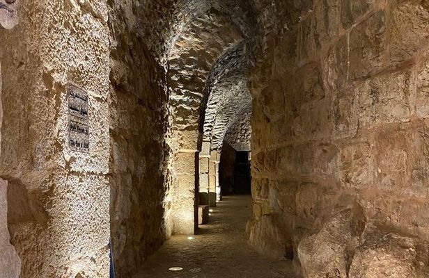 1 Day Tour to Amman Jerash and Ajloun castle