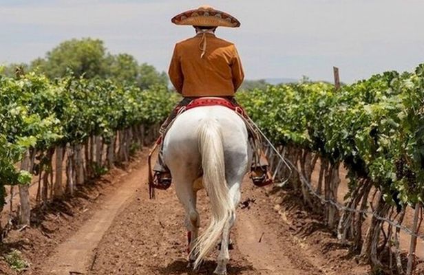 Wine Tour and Horseback Ride through the Mountains of Guanajuato