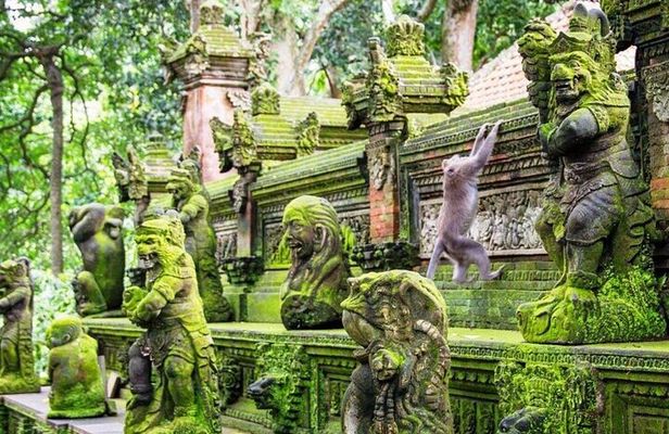 Bali ATV Quad Bike Ubud Swing & Monkey Forest All Inclusive