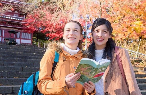 Private Sightseeing Guided Tour in Kyoto