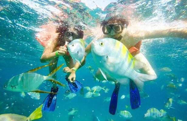 Snorkel at Pelican´s Beach Cabo San Lucas - Classic