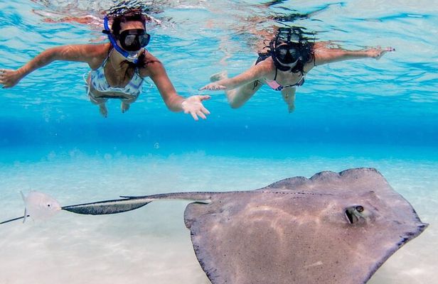 3-stop Adventure: Stingray City and snorkeling at Cayman Reefs