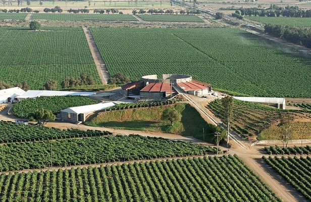 Old Wine Route Tour Experience at Baja California. ALL INCLUSIVE!