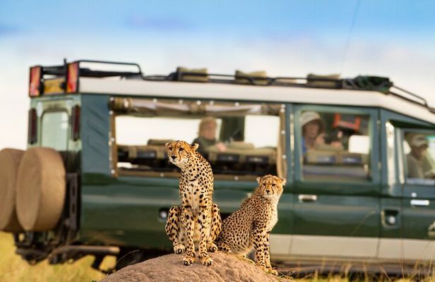 3-Day fly in Private Safari in Serengeti and Ngorongoro