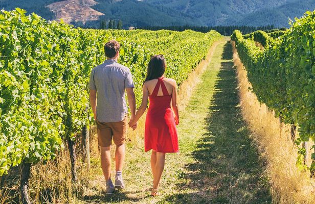 San Francisco: Napa & Sonoma Wine Tour & 24hr Hop-on Hop-off Tour