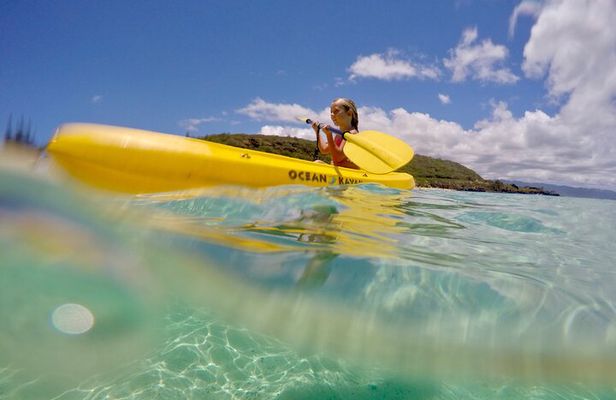 1/2 Circle Island & North Shore Fun with The Surf Bus