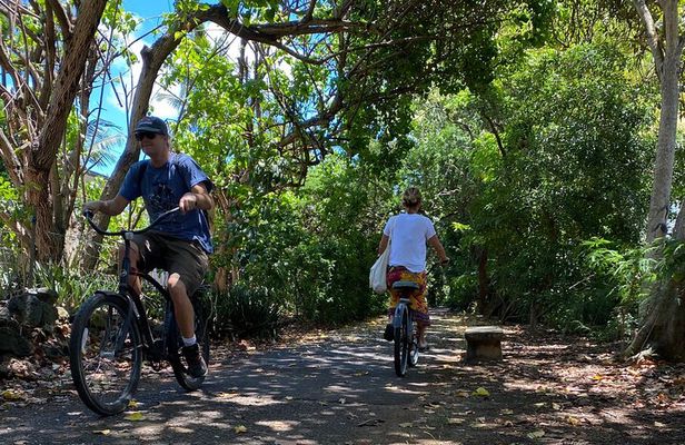 Oahu North Shore Fun: Waimea Waterfall & Turtle Snorkeling