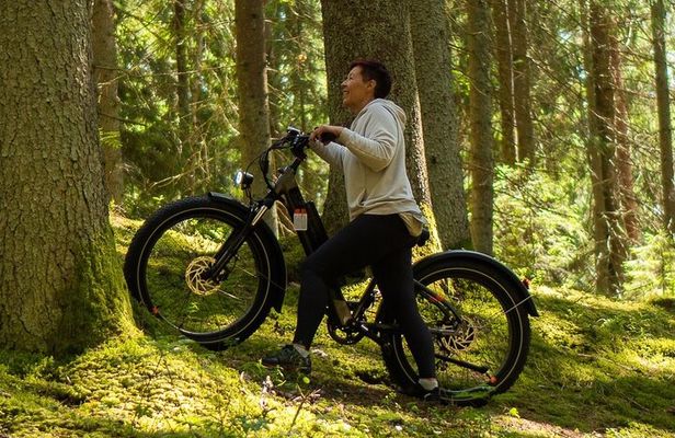 3-Hour Electric Fat Bike Rental