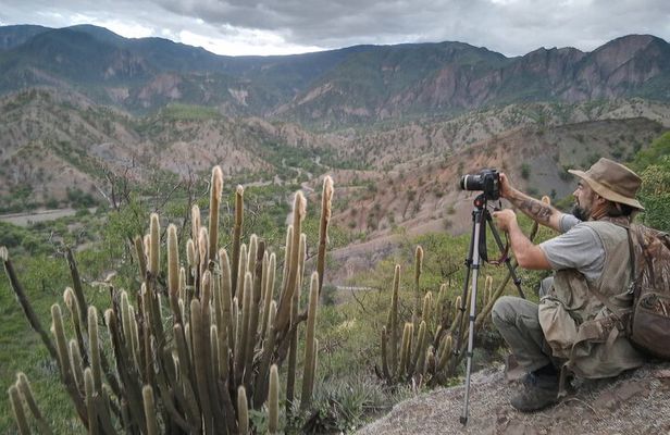 Plants and Habitats in the Elbow of the Andes