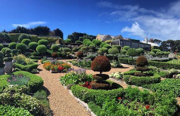 2.5 Hours Wine Tour in Waiheke Island for Cruise Ship Travelers