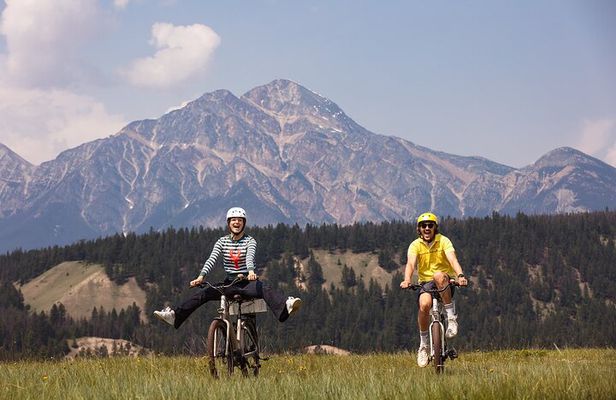 E-Bike Safari Eco Tour