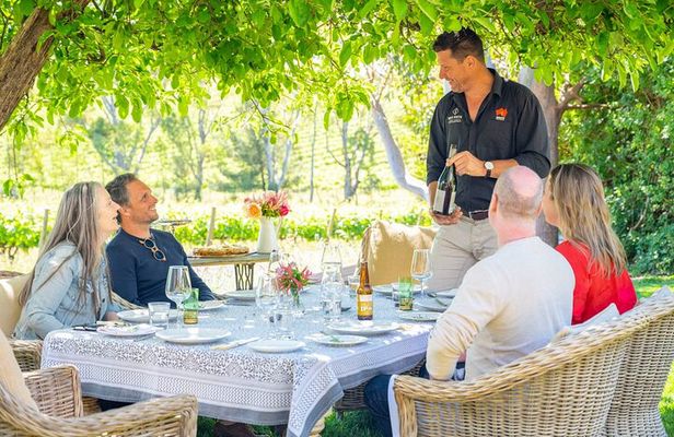 McLaren Vale 4x4 Premium Food and Wine Tour with Private Lunch