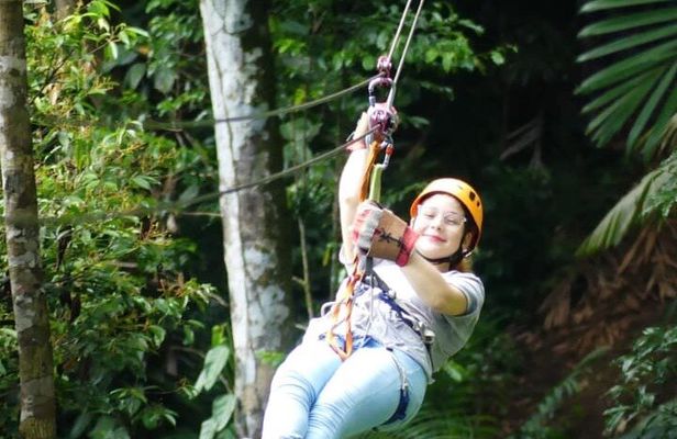 Miraflores Locks+ Sloth Sanctuary + Canopy in Gamboa Rain Forest