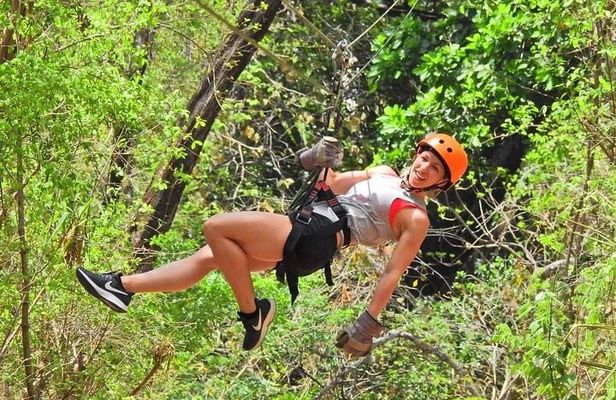 Zip line and Monkey Park Activity at Guanacaste