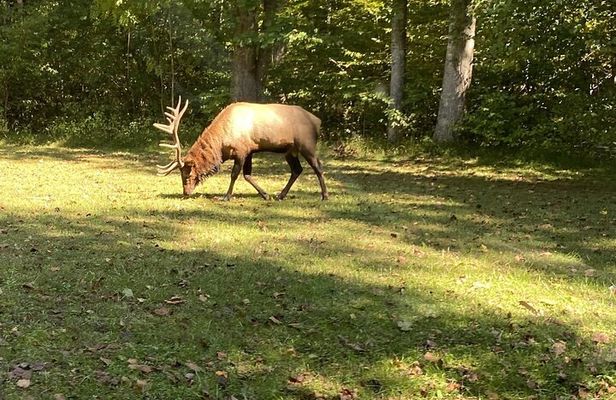 Over the Top Tour in Oconaluftee
