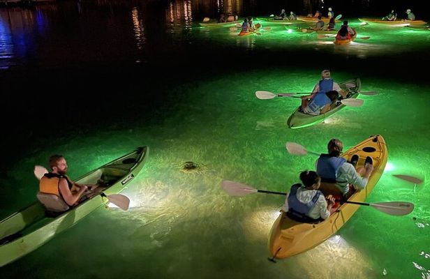 Sharkey's Glass Bottom Fish Feeding LED Night Tour in Clearwater