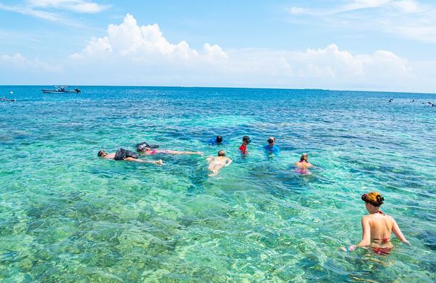 A whole day to the 5 Rosario Islands with snorkeling and plankton