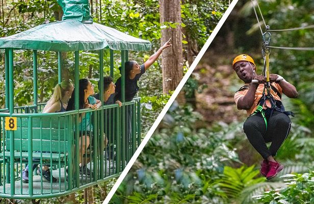 Adrena-Line Zipline Canopy Tour at Rainforest Adventures St. Lucia
