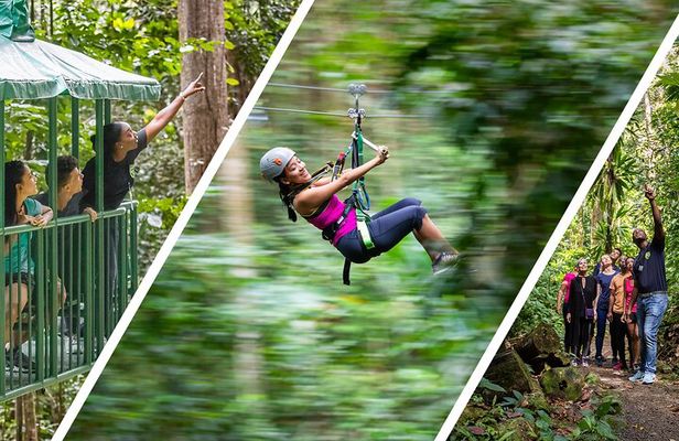 St Lucia Ultimate 3: Aerial Tram, Zipline and Hiking at Rainforest Adventures