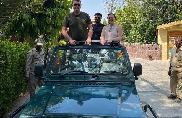 Ranthambore Day Trip from Jaipur with Jeep / Canter Safari