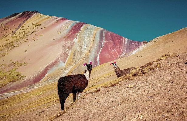 Full Day Rainbow Mountain Tour from Cusco with Hotel Transfer