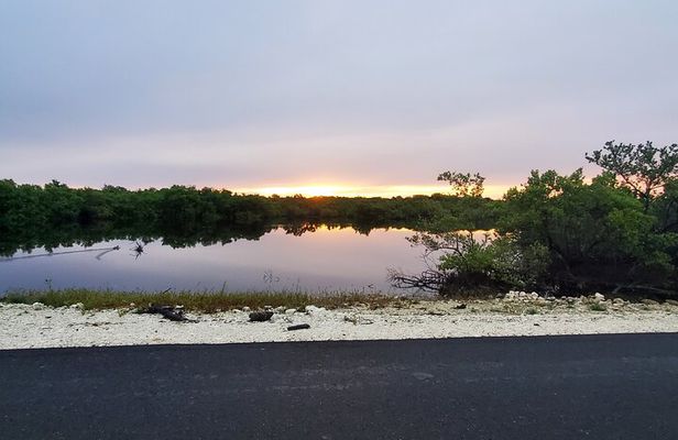 Unforgettable Land Tour on Long Island Bahamas