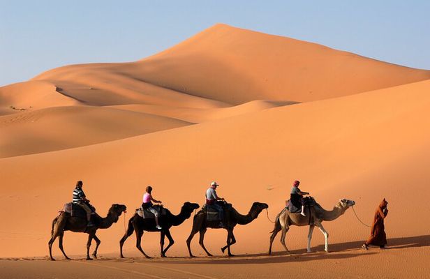 Dubai Morning Desert Safari with Quad Bike sharing Car