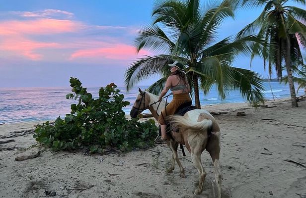 2 Hour Beach Horse Back Riding in Puerto Viejo