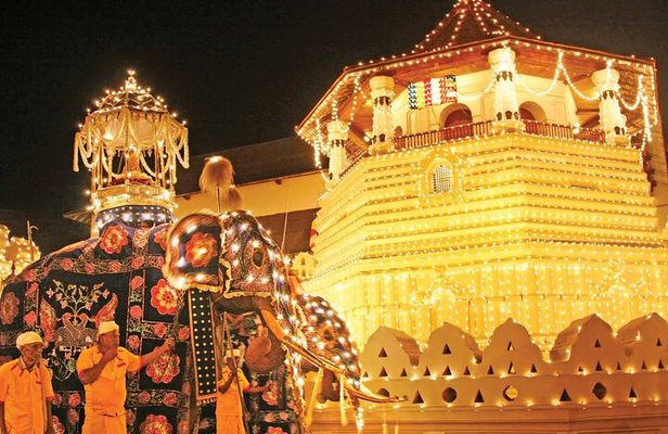 Colombo To Pinnawala & Kandy Luxury Day Tour by Car/Van/Bus