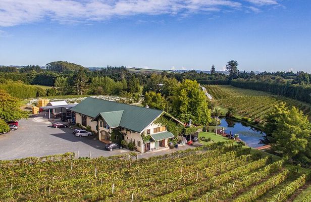 Bay of Islands, Wine & Craft Beer Tour with Lunch
